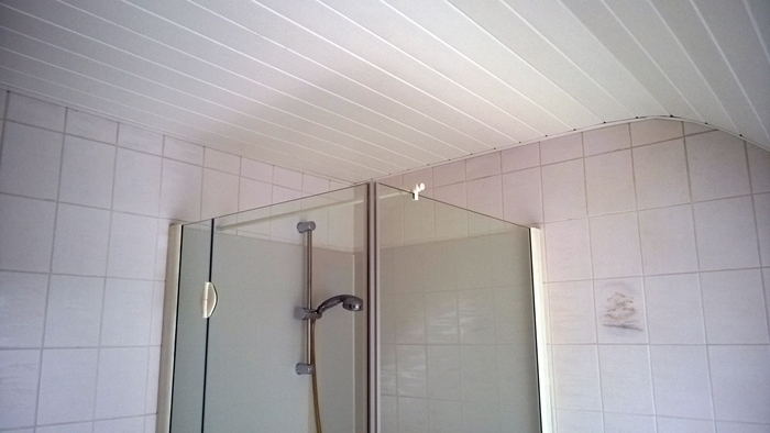 Badezimmer1